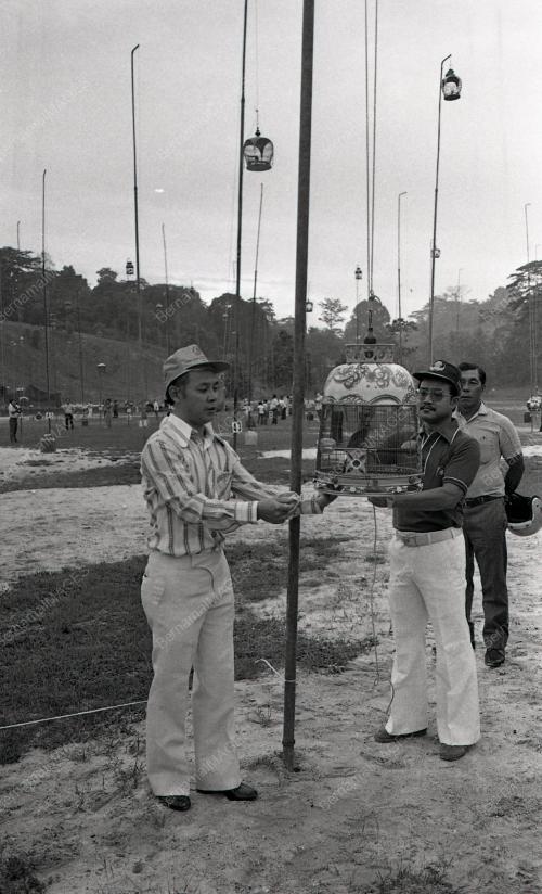 HARI KEPUTERAAN