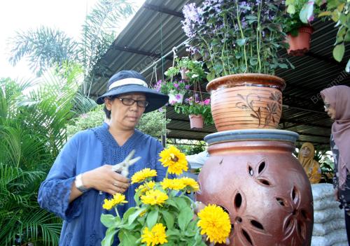 ROHANA HUSSIN