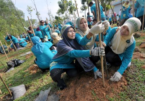 KL05_03052014_TUN_POKOK