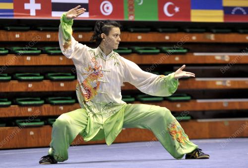 KL05_03112013_WUSHU