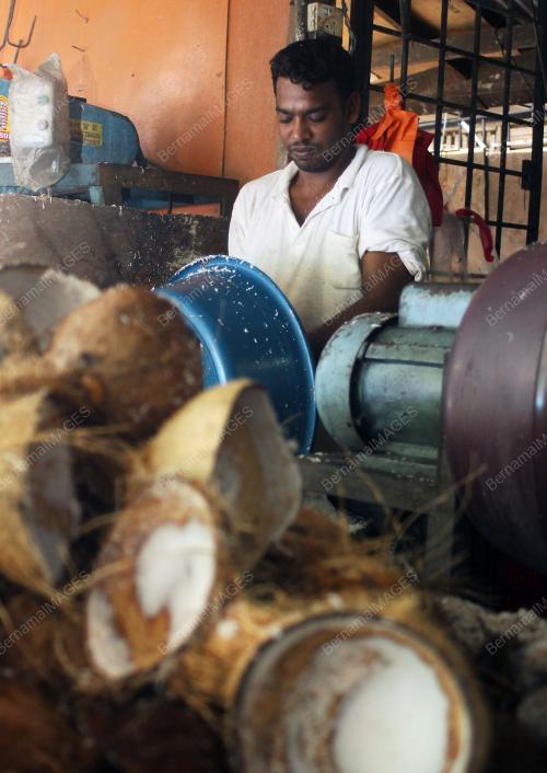 KELAPA
