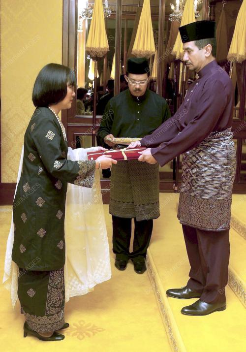 TUANKU MIZAN ZAINAL ABIDIN
