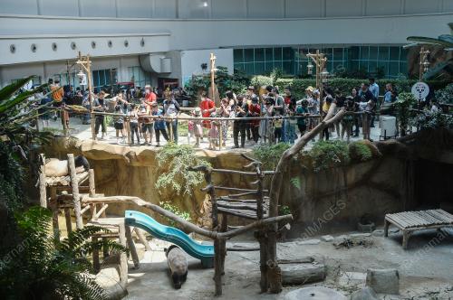 TINJAUAN ORANG RAMAI DI ZOO NEGARA