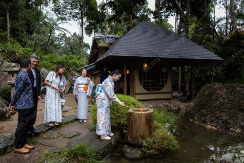 JAPANESE TEA CEREMONY