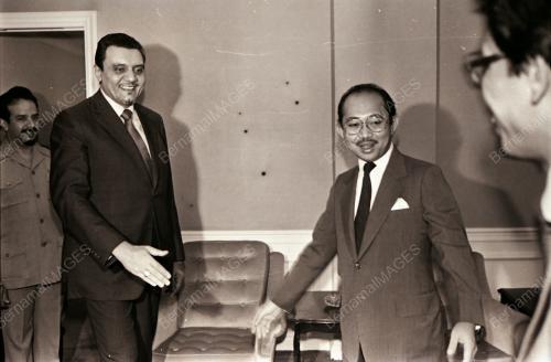TENGKU TAN SRI RAZALEIGH HAMZAH