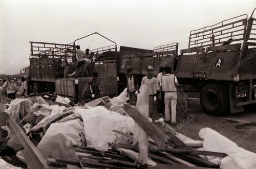 LORI TERBALIK