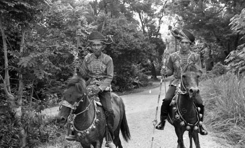 BAJAU HORSEMAN