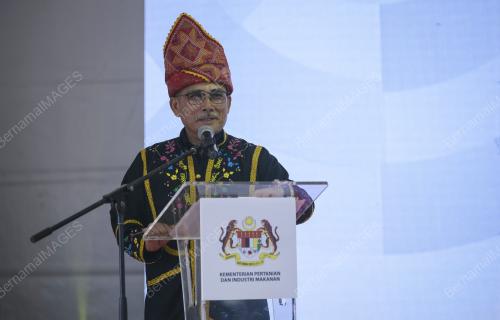 DATUK SERI DR RONALD KIANDEE