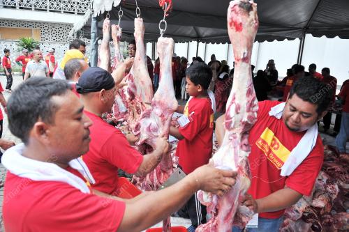 DAGING_KORBAN