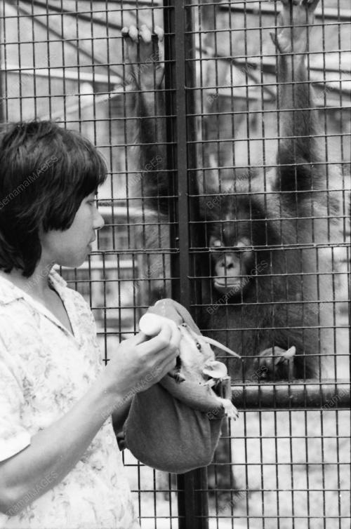 ZOO NEGARA