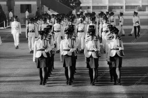 PENGARAH PENGURUSAN POLIS
