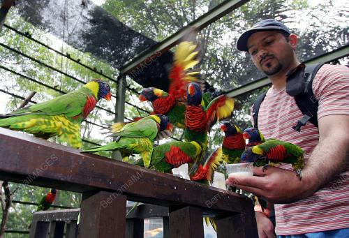 BIRD PARK