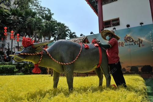 PERSIAPAN TAHUN BARU CINA