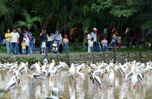 ZOO NEGARA