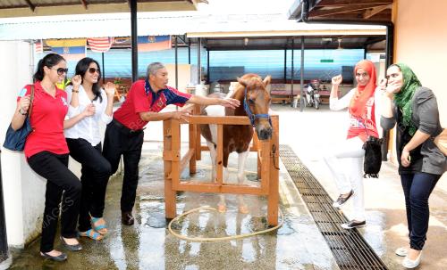 KL05_09092012_KUDA_LUCU