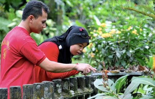 KL05_11022013_TAMAN