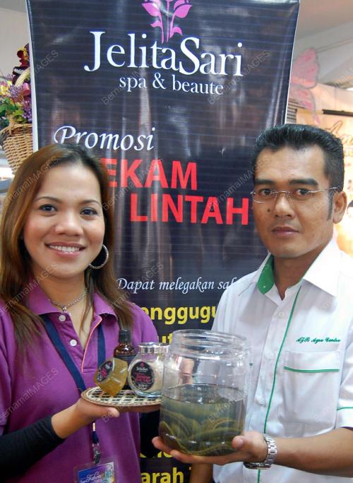 BEKAM LINTAH