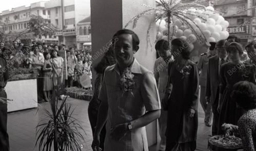 MUSA HITAM