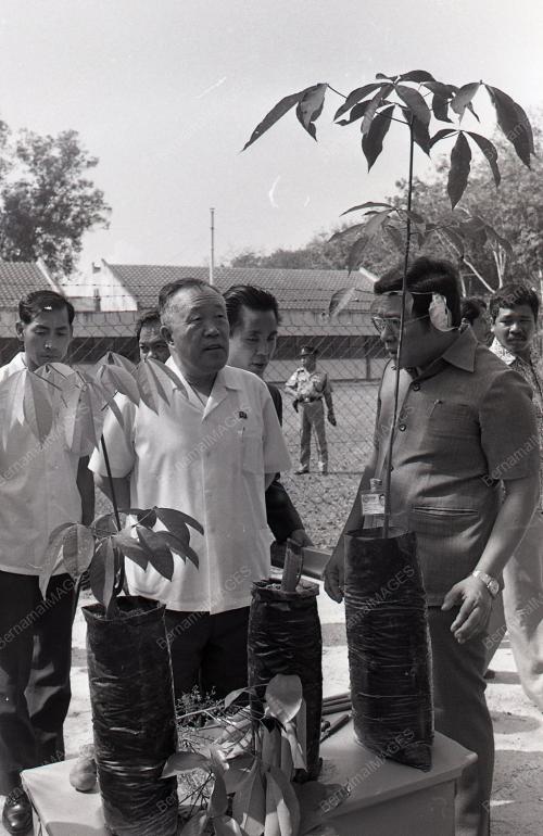 RRI