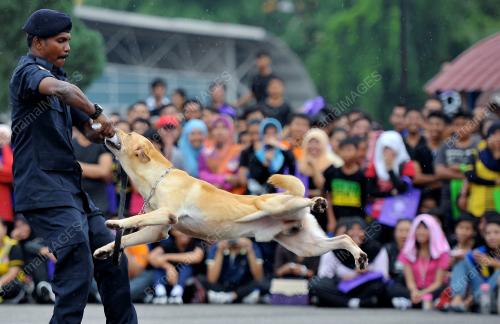 KL05_14032012_MCPF