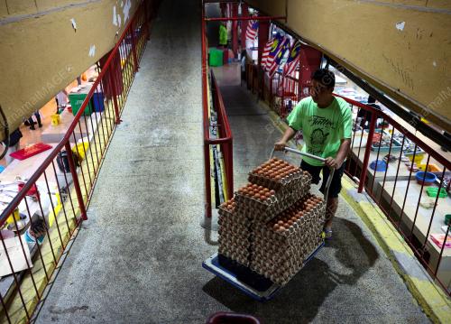 TINJAUAN SUBSIDI HARGA TELUR