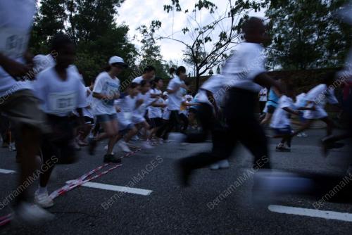 LARIAN AMAL