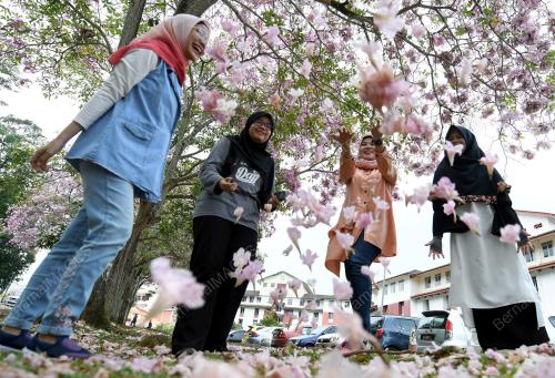 KL05_15092018_SAKURA_BN201809148107