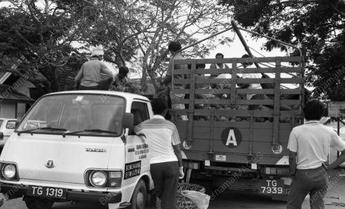 KL05_16012015_MUSIM_DURIAN