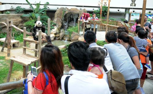 KL05_16112015_MENONTON_PANDA