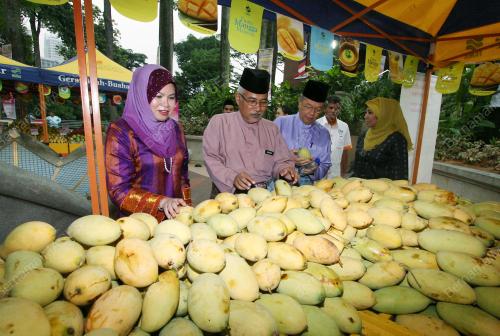 KL05_17052013_MANGGA