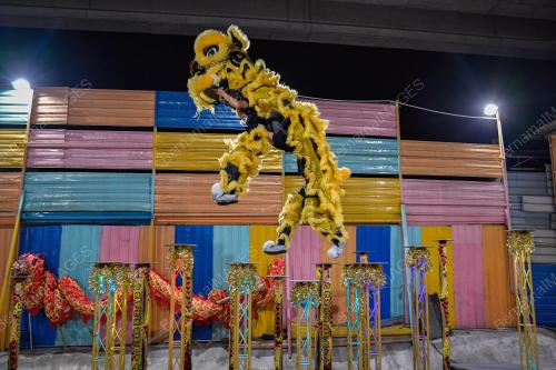 TECK SENG DRAGON & LION DANCE