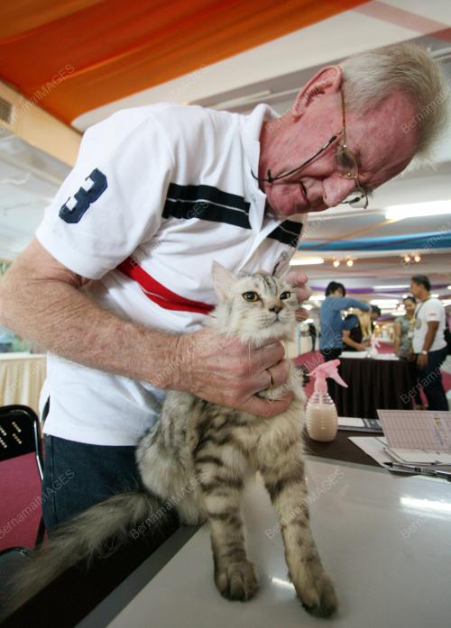 KL05_18052013_KUCING