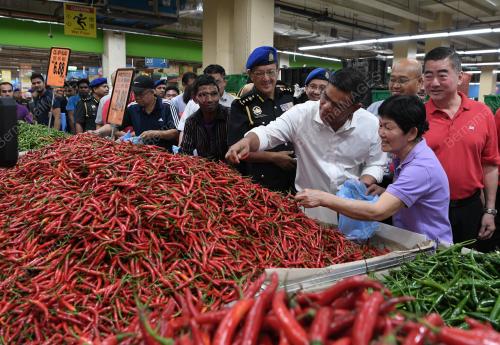 DATUK SERI SAIFUDDIN NASUTION