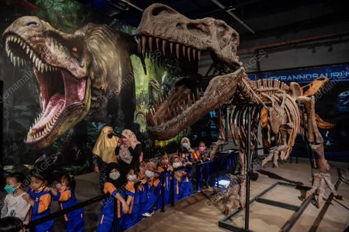 TUKANG JAHIT DINOSAUR DI PAMERAN DINOSAUR ENCOUNTER PUSAT SAINS