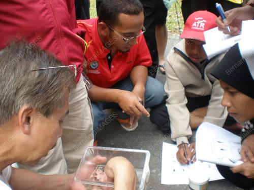 SAYANGI SUNGAI