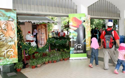 PERSIAPAN KRISMAS