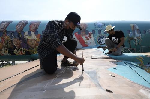 MURAL BOEING 737