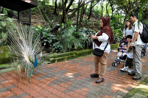 KL05_24032013_CUTI