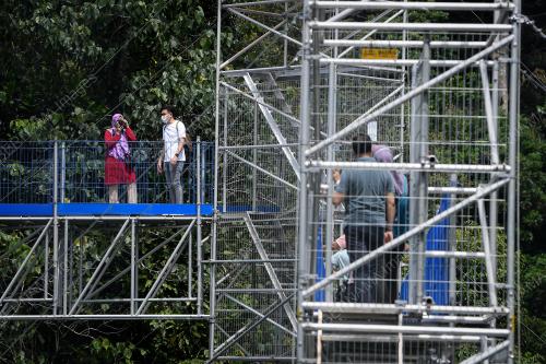 FOREST SKYWALK FRIM DIBUKA SEMULA UNTUK PENGUNJUNG