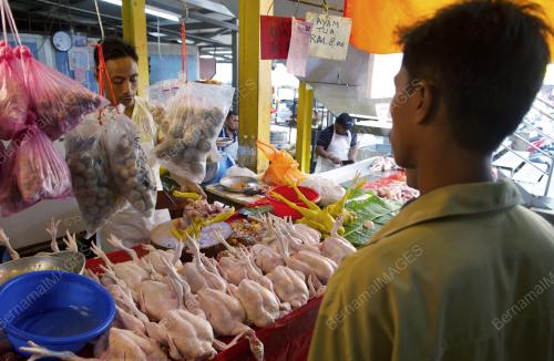 KL05_24122015_AYAM