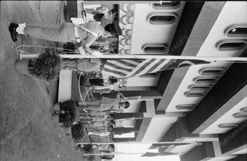 HARI POLIS