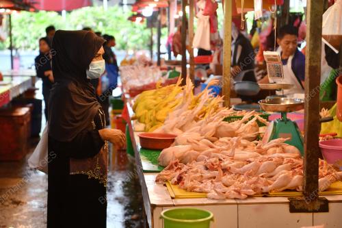 TINJAUAN AYAM HARGA SILING BAHARU