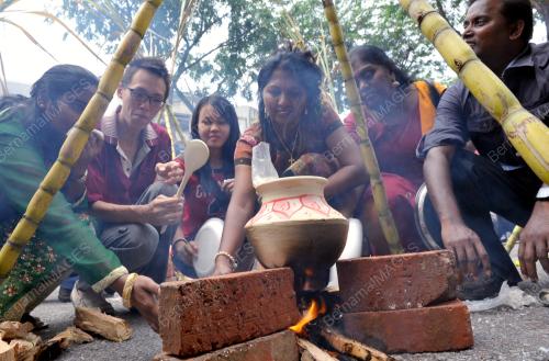 PESTA PONGGAL HARMONI 1MALAYSIA