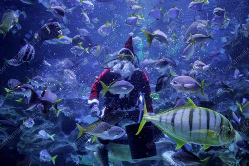 SANTA CLAUS AQUARIA KLCC