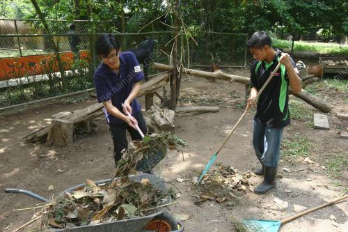 KL05_27022011_KAMBING