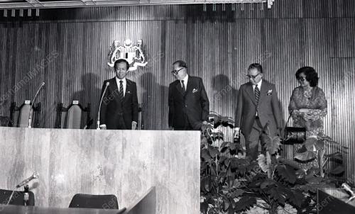 MUSA HITAM
