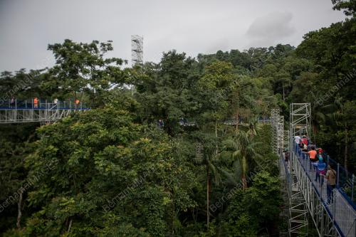 FOREST SKYWALK FRIM KEPONG