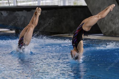 FINA DIVING GRAND PRIX 2022
