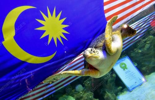 KL05_30082017_AQUARIA