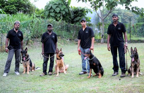 KL05_31032012_AKADEMI_ANJING